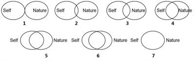 The Impact of Gratitude on Connection With Nature: The Mediating Role of Positive Emotions of Self-Transcendence